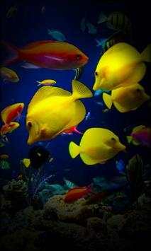 Aquarium Wallpaper For Gadget screenshot 2