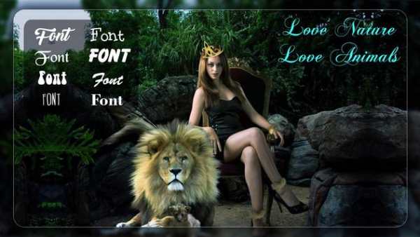 Wild Animal Photo Frame screenshot 1