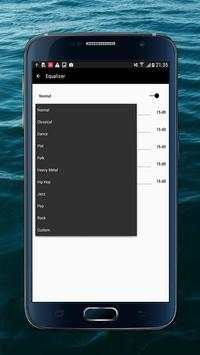 Offline Music Player screenshot 2