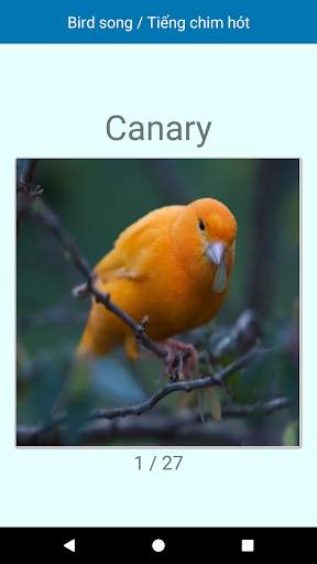 Bird Song / Tiếng Chim screenshot 2