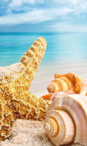 Summer Live Wallpaper screenshot 2