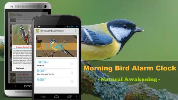 Bird Quiz Alarm Clock screenshot 1