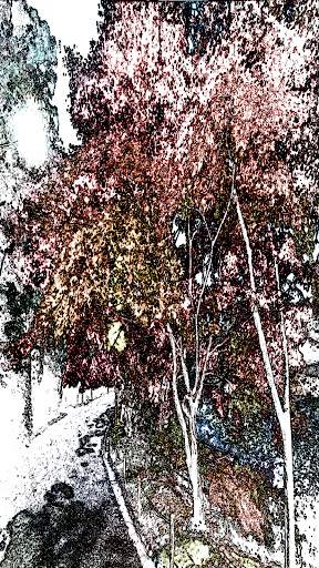 Camera Filter screenshot 20