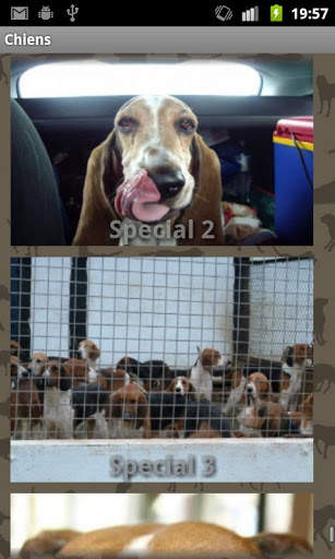 Dog Sounds 7 تصوير الشاشة