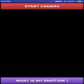 Detect My Emotion