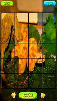 Snake Puzzle Games screenshot 4