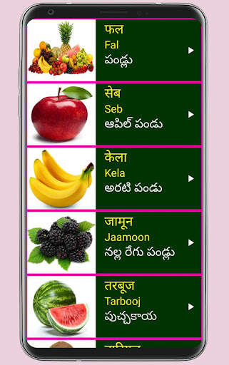 Learn Hindi from Telugu screenshot 7