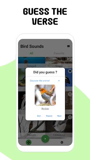 Bird sounds screenshot 4