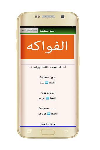 learn dutch language offline screenshot 7