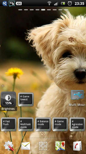 maltese puppy wallpaper - cute puppy wallpaper screenshot 3