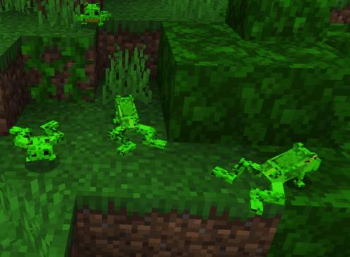 Frog Mod for MCPE screenshot 3
