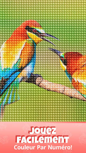 Cross Stitch Gold: Jeu de Couleur, point de croix screenshot 7