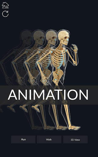 My Skeleton Anatomy screenshot 8