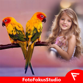 Bird Insta DP icon