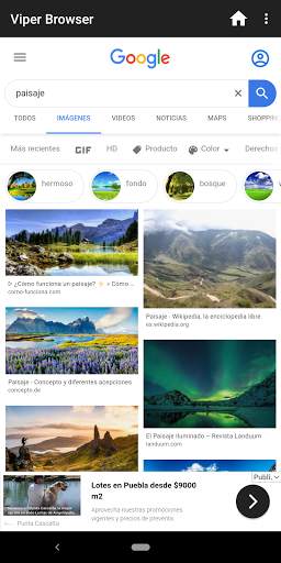 Viper Browser screenshot 2
