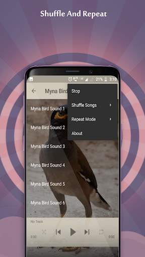 Myna Bird Sounds screenshot 2