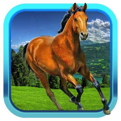 Pony Dash 3D 1.3