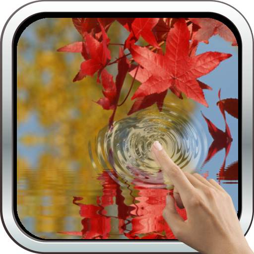 Magic touch: Autumn 10.0