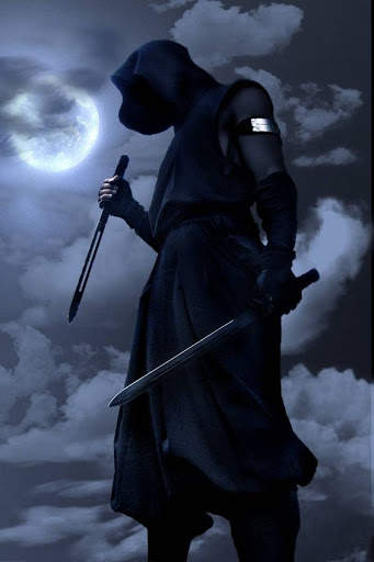 Ninja Wallpapers screenshot 1