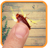 cockroach smashing and killer , funny game icon