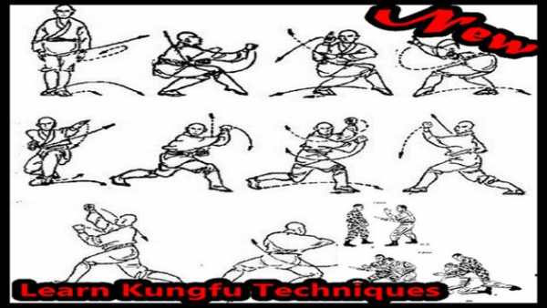 Learn Kung Fu Techniques screenshot 8