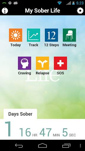 My Sober Life Pro screenshot 2