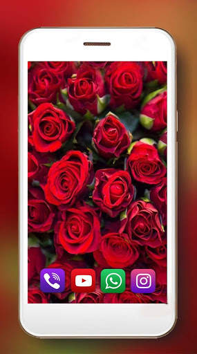 Roses Amazing Live Wallpaper screenshot 4