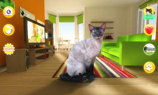 Talking Blue Siamese Cat screenshot 7