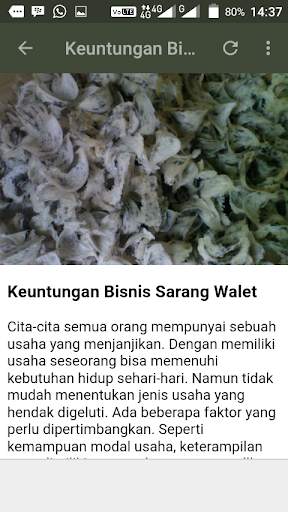 Kicau Burung Walet screenshot 5