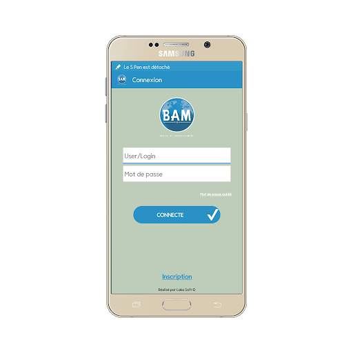 BAM Emploi et Investissement screenshot 1
