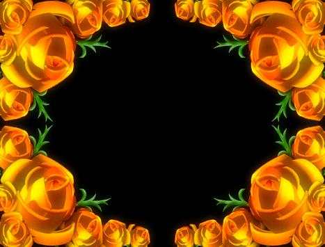 Lovely Flowers Photo Frames screenshot 2