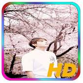 BTS Wallpaper Jungkook 1.0