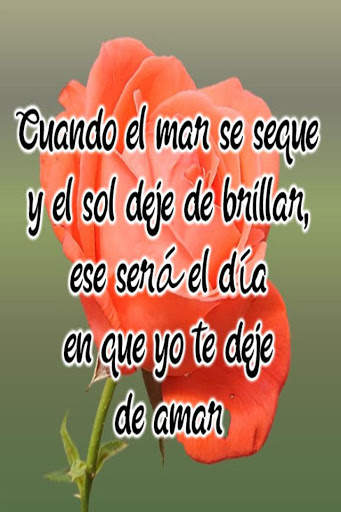 Rosas de Amor screenshot 11