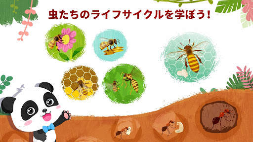 リトルパンダのすてきなこん虫たち screenshot 4