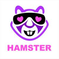 Hamster Video Chat-Adult chat icon