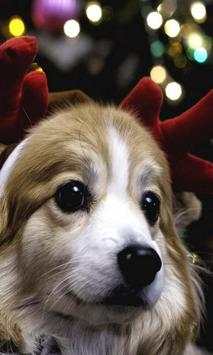 Christmas Dogs Cats wallpaper screenshot 3