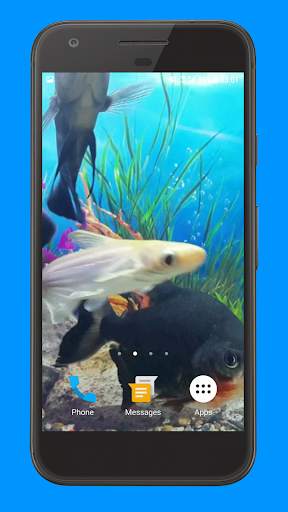 Oscar Fish Aquarium Video 3D screenshot 5