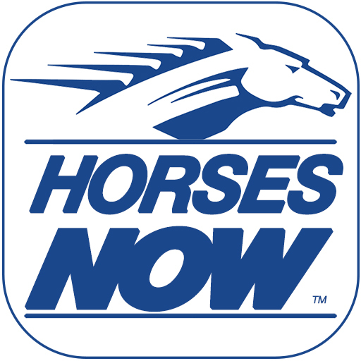 Horses Now أيقونة