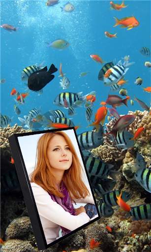 Aquarium Photo Frames : aquarium wallpaper 4k HD screenshot 5