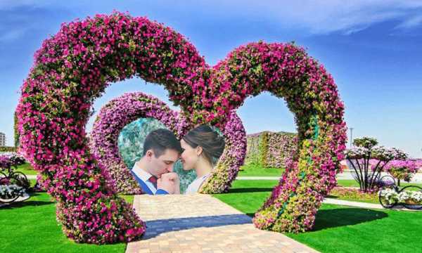 Garden Photo Frames скриншот 5