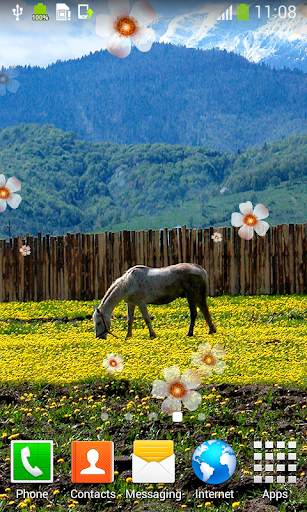 Horse Live Wallpapers screenshot 3