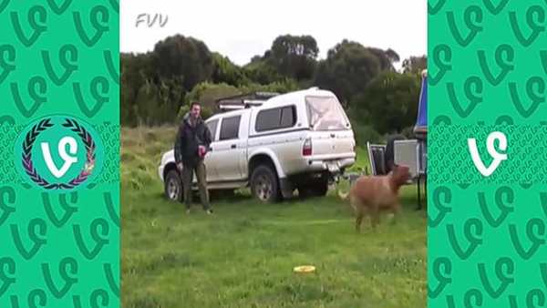 All Video player - Full HD Video screenshot 4