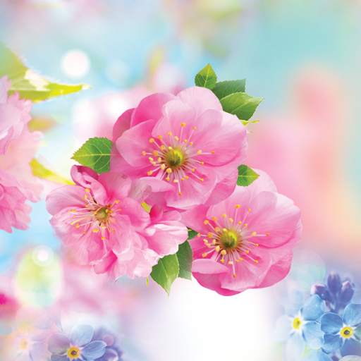 Spring Flower Live Wallpaper 1.0.8