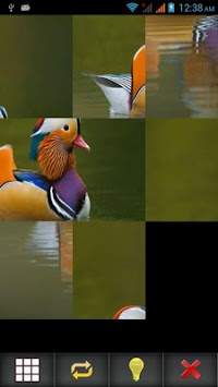 Birds Puzzle screenshot 8