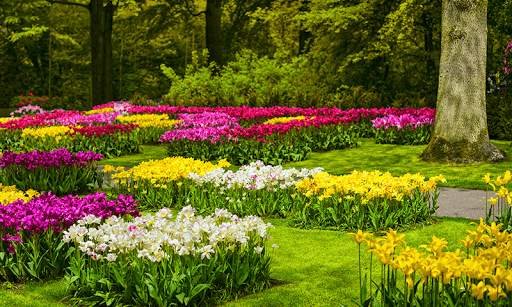 Garden Photo Frames Editor screenshot 2