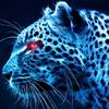blue cheetah wallpaper 10.05