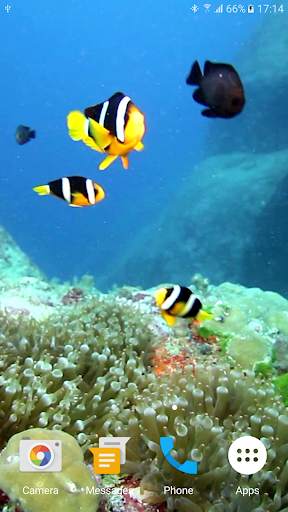 Colorful Fishes Live Wallpaper 2 تصوير الشاشة