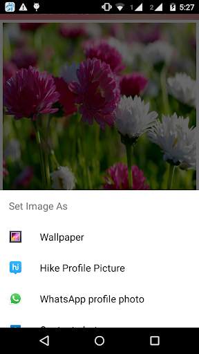 Flowers Wallpaper screenshot 3