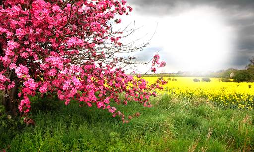 Nature Photo Editor screenshot 15