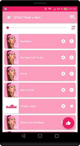 Ariana Grande Songs Offline (Best Collection) 5 تصوير الشاشة